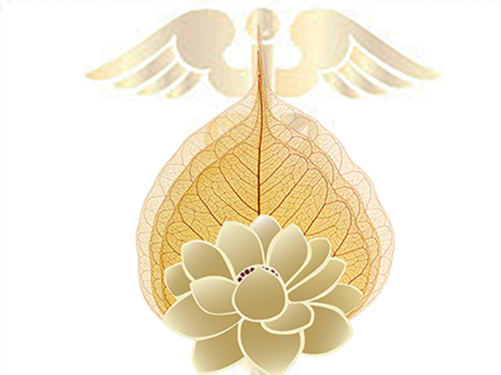 School of Natural Medicine Bodhi Lotus Logo honors Caduceus wings of healing wisdom.